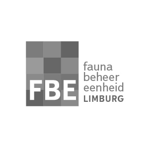 Logo-FBE